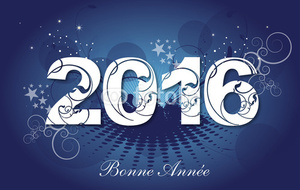 Bonne année 2016
